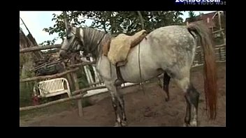 Ladies And Horse Chuda Chudi Full Video - horses six xvideo girls MMS Video